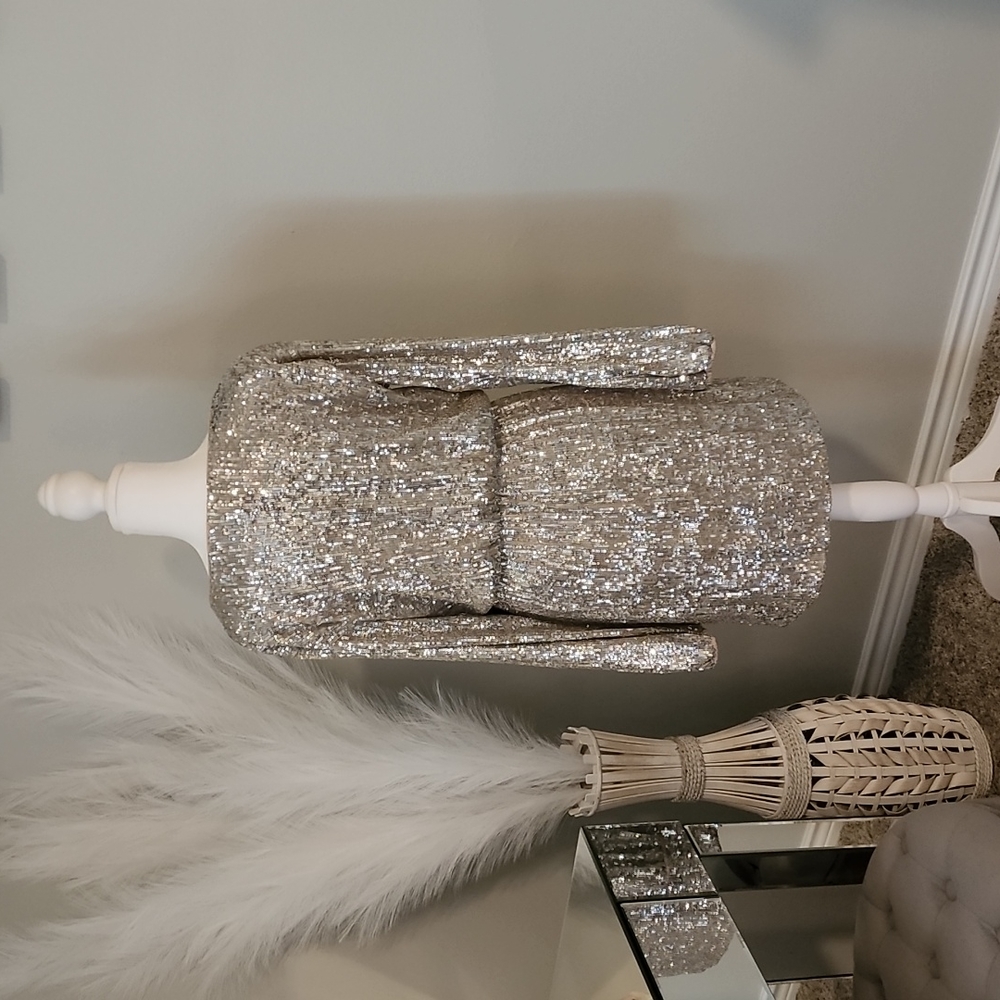 Express Silver and Nude Sequin Dress NWT - Picture 5 of 6